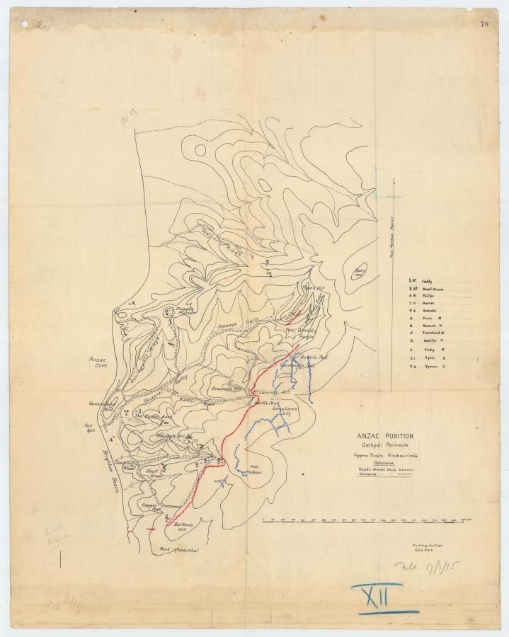 Map of positions of 1st Australian Divisional Artillery at Gallipoli, July 1915