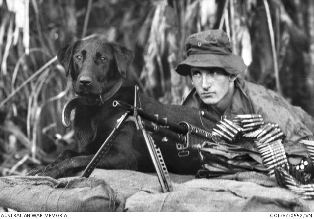 Tiber with his handler Lance Corporal Norm Cameron of 7RAR during Operation Paddington, July 1967. Tiber was later assigned to 1RAR and handler Private Bryan Meehan.  COL/67/0552/VN