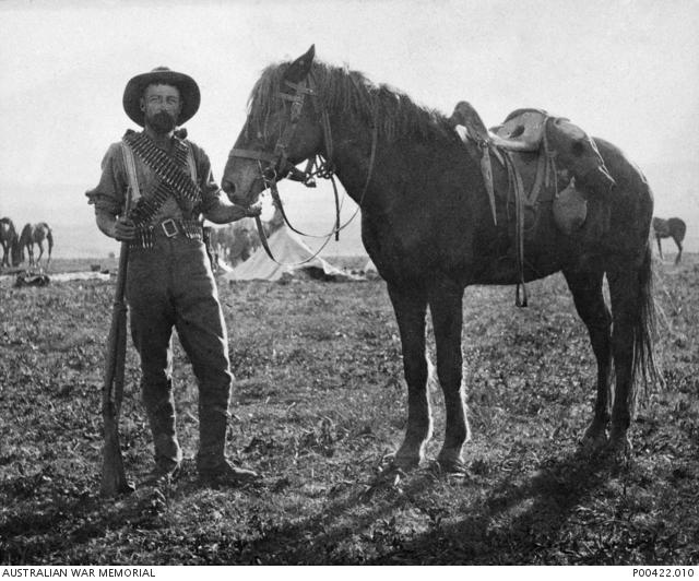 Australian trooper with horse in South Africa, 1901.