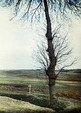 Lone French gravesite