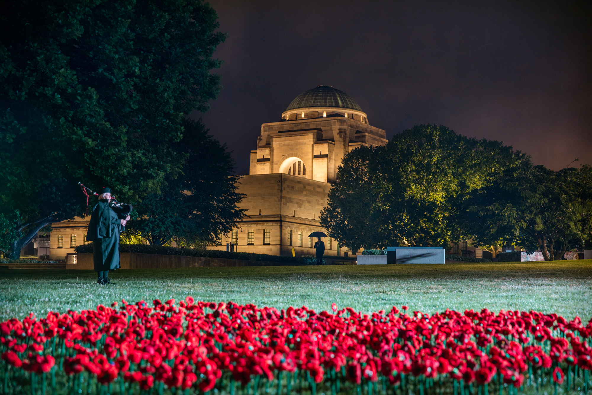 Knitted poppies in the grounds of the Memorial