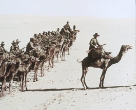 Imperial Camel Corps at Magdhaba