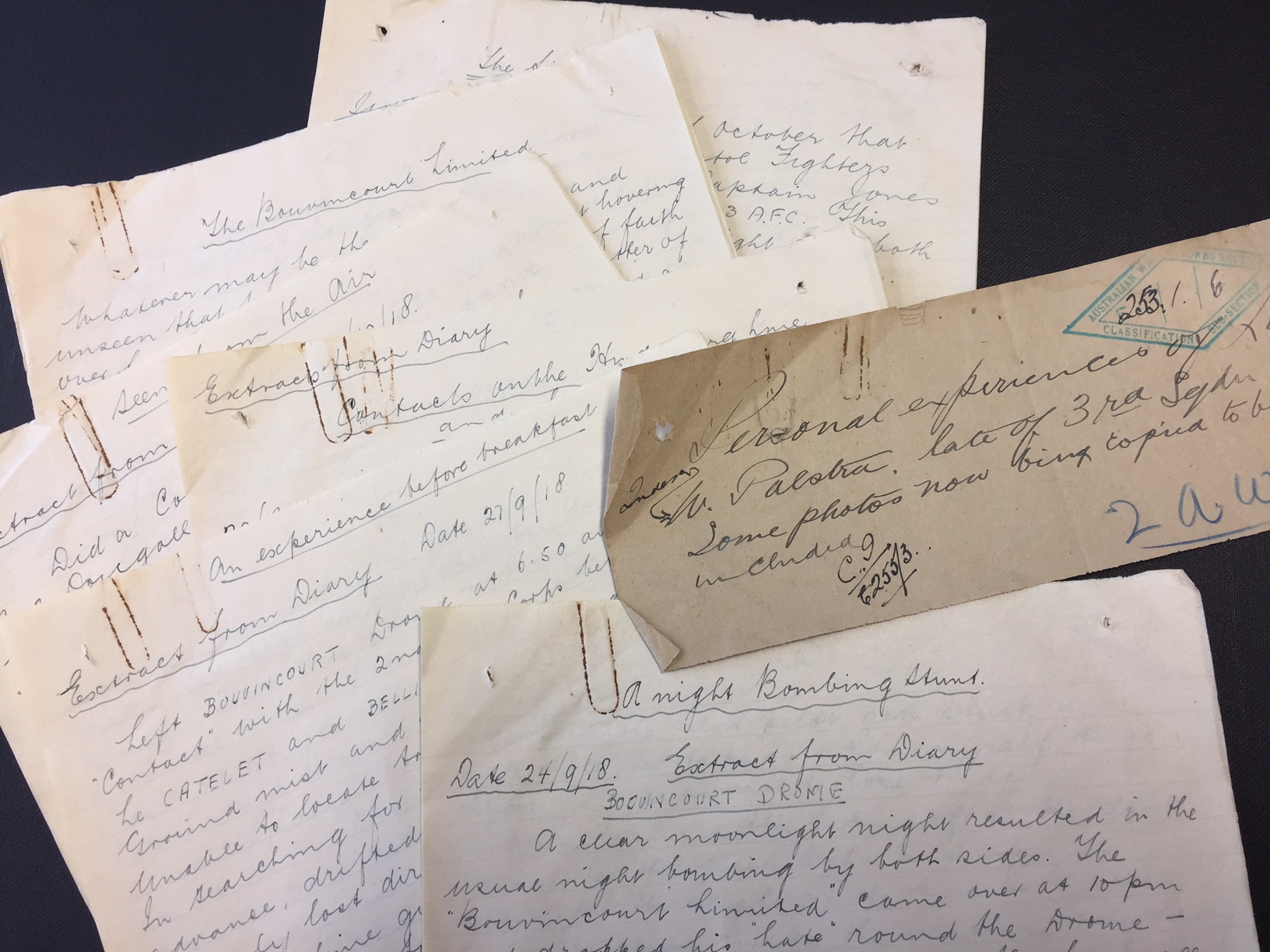 The diaries of Lieutenant William Palstra