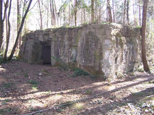 "A recent photo taken at the rear of 'Scott's Post' pillbox which lies in the middle of Polygon Wood. It was named after the CO of the Australian 56th Battalion, Lt Col Humphrey Scott, who was killed in this vicinity on 1 October 1917 (Photo courtesy of Aaron Pegram).