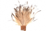 Emu plume