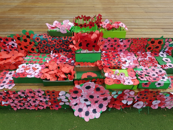 Truganina College's Field of Poppies.