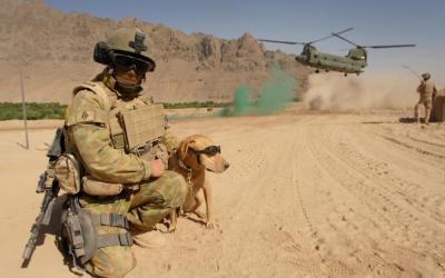 Aussie in Afghanistan