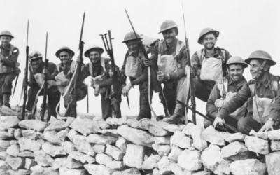19th AIF