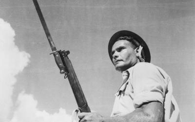 QX3571 Sergeant Archibald Driscoll near El Alamein