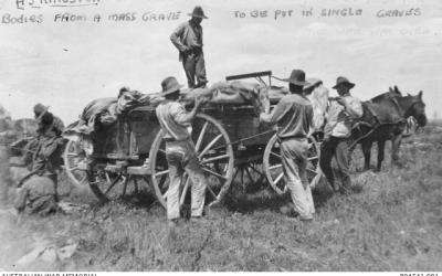 Members of the Graves Registration Detachment, Australian section, of the Imperial War Graves Unit loading bodies from a mass grave to be put in single graves.