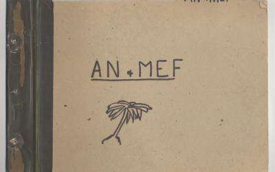 A hundred years on: the Australian Naval and Military Expeditionary Force (AN&MEF)