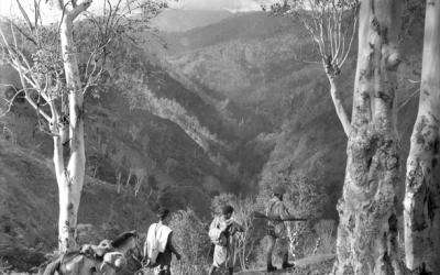 Remembering 1942: The Battles on Timor