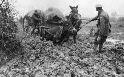 Rain and Mud: the Ypres - Passchendaele Offensive