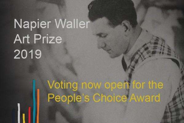 Napier Waller voting
