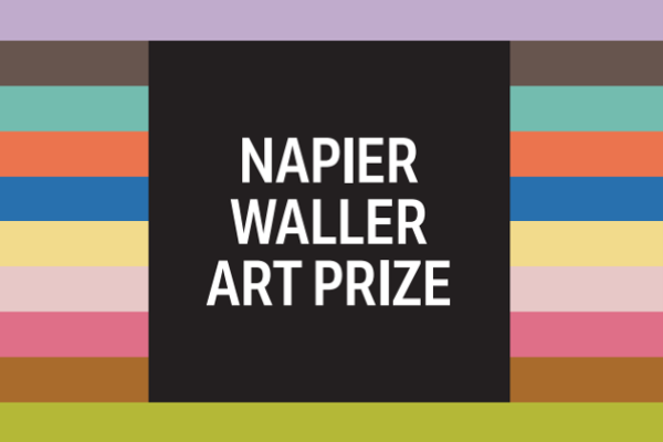 napier waller art prize