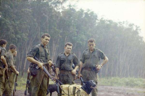 Tracker dogs Tiber (front) and Justin (rear) wait to carry out helicopter winching training with their handlers and soldiers from 7RAR in Nui Dat, 1967. EKN/67/0097/VN