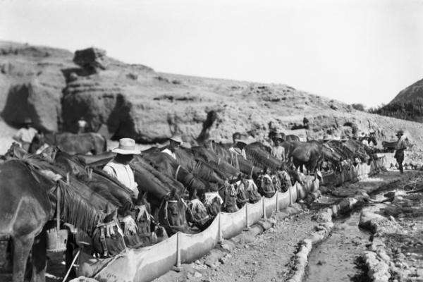 Watering horses in the Jordan Valley