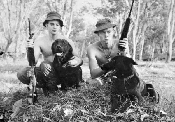 Speech: Australian animals in war memorial