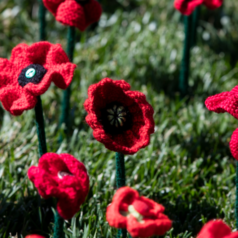 Memorial announces Remembrance Day program 2018