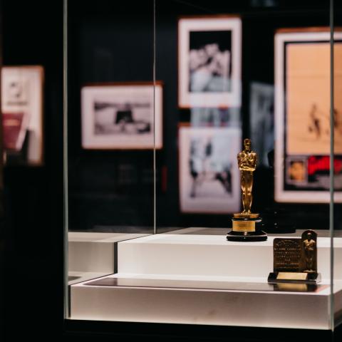 Australia's first Oscar on display as part of ACTION! Film and War. Image courtesy of Museum of Tropical Queensland, part of Queensland Museum Network.esy