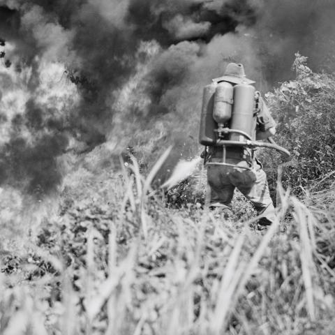 AWM 091749