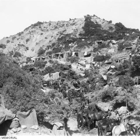 One of the hills stormed and captured by the Australians in the landing at Gallipoli Peninsula, Turkey, on 25 April 1915. AWM G00457