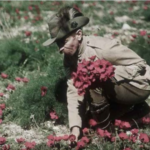 After the war