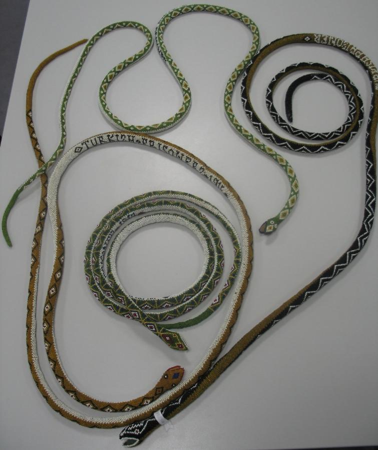 A selection of snakes in the collection.