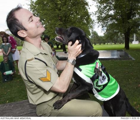 RSCPA Medal presentation to EDD Sarbi, held in the Sculpture Garden at the Australian War Memorial. Image shows Sarbi and her handler