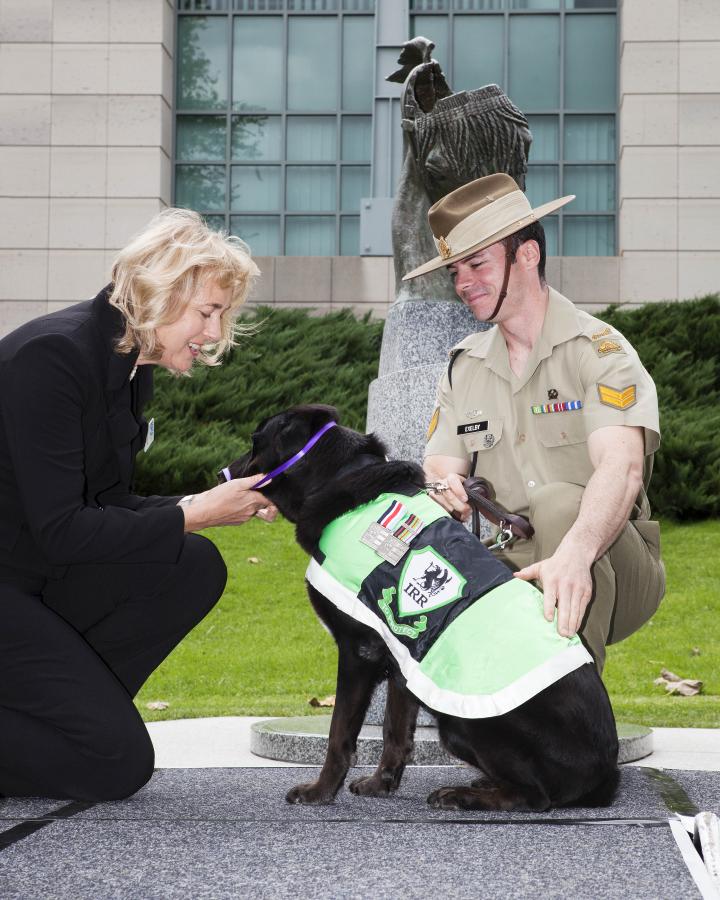 RSPCA National President Lynne Bradshaw presents Sarbi with the Purple Cross in 2011.