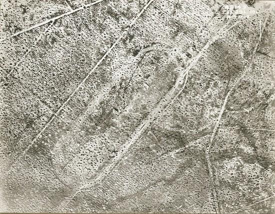 Polygon Wood, September 1917