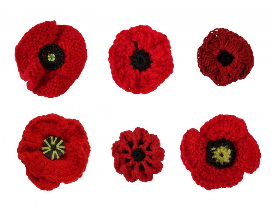 poppies