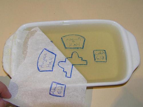 The image is left on the gelatine from the master