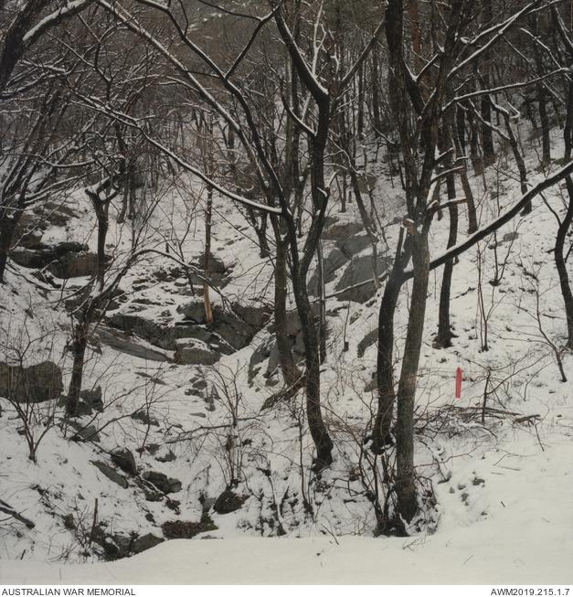 Towards a field of sleep: Shaman/Shindo ribbons ribbons on Daegwallyeong Mountain