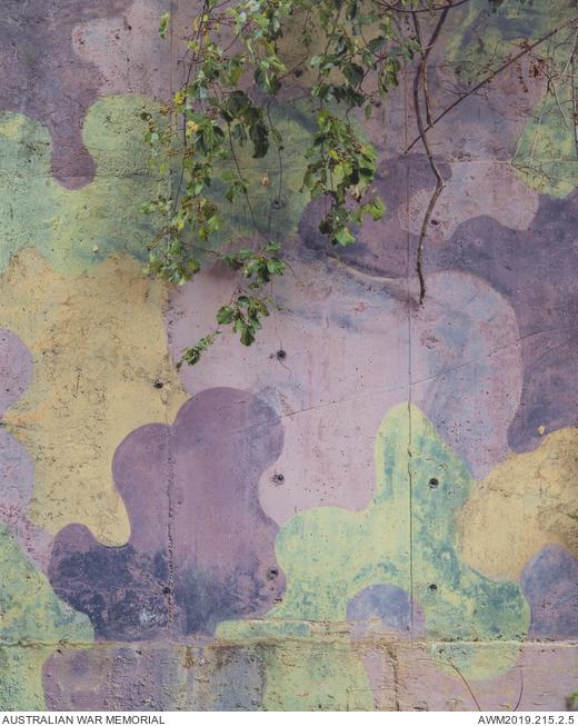 Artist Lee Grant photographed this example of early military camouflage (most likely from the 1950s) painted on the wall of a military regiment in the Demilitarized Zone, South Korea, in 2018 during a research residency.