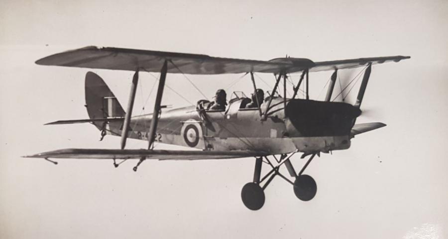 Tiger Moth