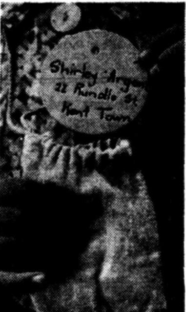 Image from News (Adelaide) 4 March 1942 of a cardboard disc for a child from Rose Park with its fabric pouch (via Trove )