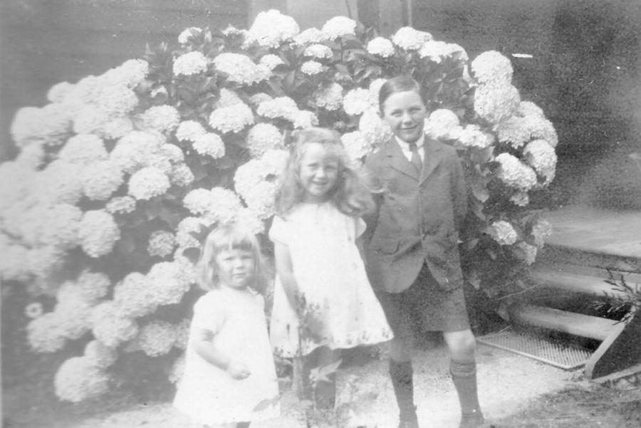 Elliot children
