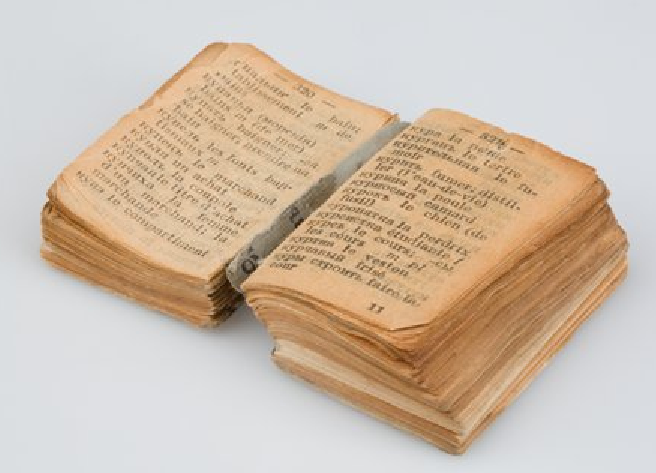 Dictionary