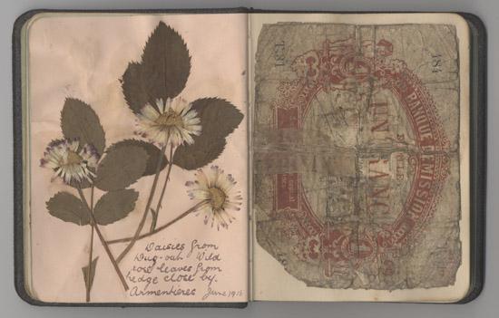 small autograph book which holds a collection of pressed flowers from places around the world visited by Sergeant George Cadd (service no. 2134) during his service in the First World War (RC06416).