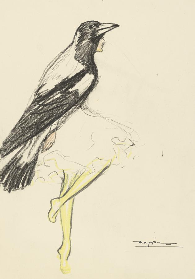 Magpie (New Zealand) AWM2024.582.3