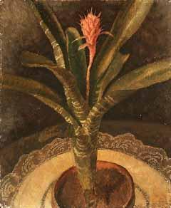 La plante