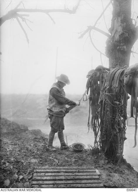 "Herbert Baldwin, Australian artillery driver, 1916 E00041"