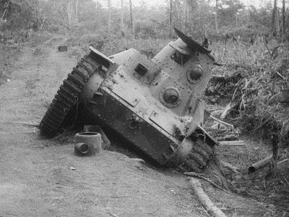 photographs were used to help determine camouflage location and pattern.