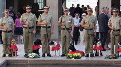 a photograph of special events held by AWM showing soldiers with dogs