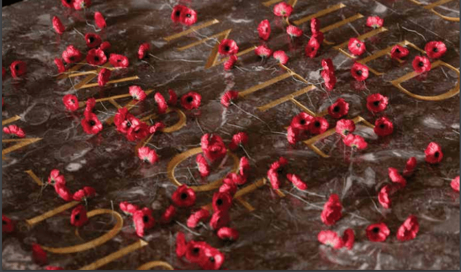 Poppies on the Tomb of the Unknown Soldier