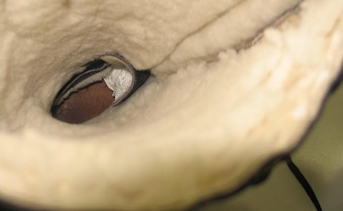 Inside the flying boot. The tongue of the civilian style shoe can be made out in this photograph.