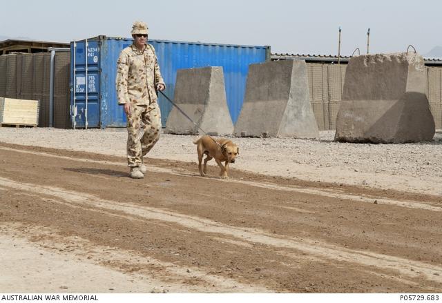 Aussie in Afghanistan