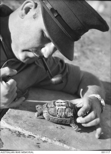 Captain Michelson with Tim the turtle