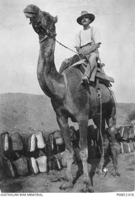 Corporal Holland and camel.